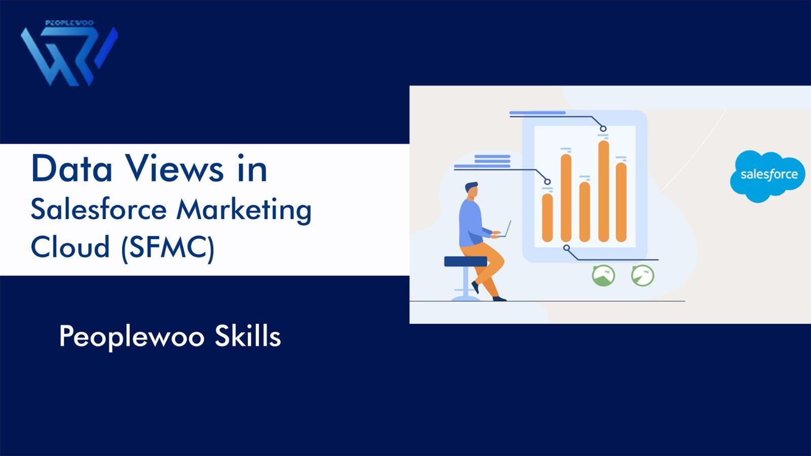 Data Views in Salesforce Marketing Cloud | Peoplewoo Skills